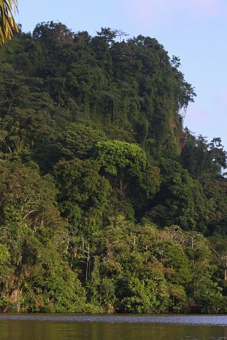 Parque Nacional Tortuguero Costa Rica 2014